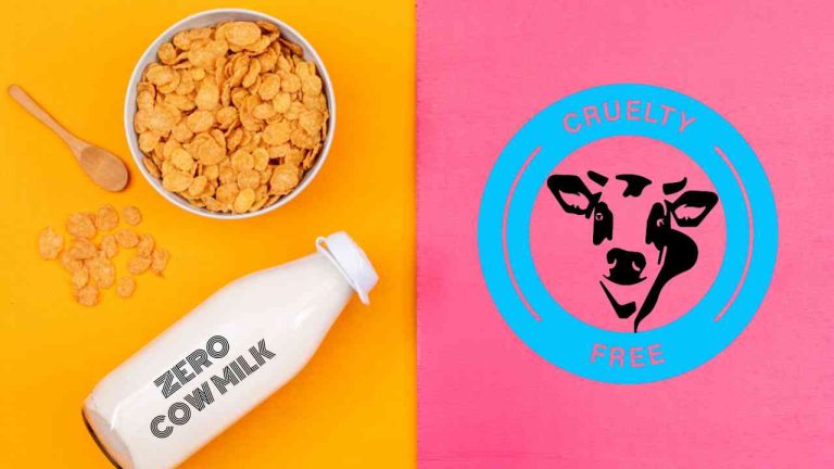 From Moo to Lab: Is This Milk-morphosis Hype or Hope for Dairy Consumers?